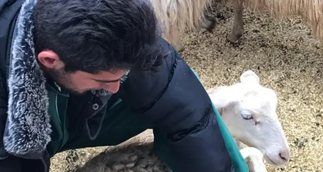 A Matteo Boe un gregge per ricominciare