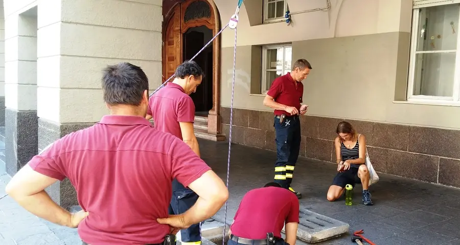 Ore 11, «Operazione portafoglio»