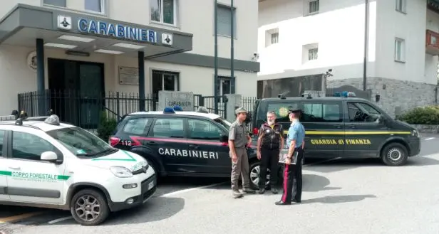 Preso un ricercato per omicidio. I carabinieri lo trovano in una malga giudicariese