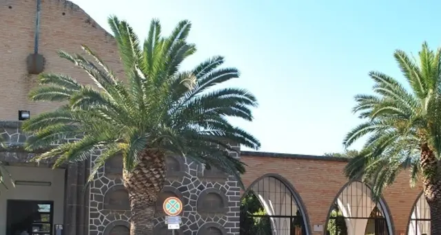 Saluto romano a funerale, video su Fb