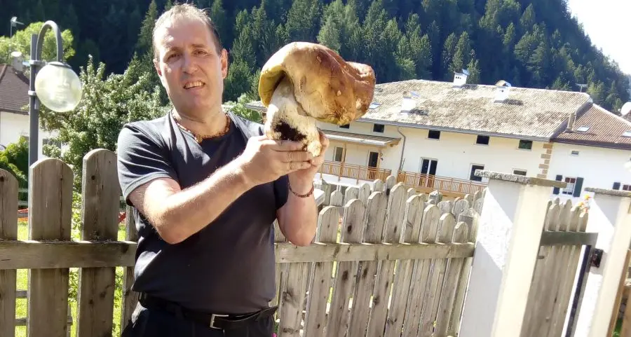 Un porcino da record nei boschi altoatesini