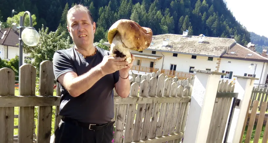 Funghi, settembre record e specie tropicali