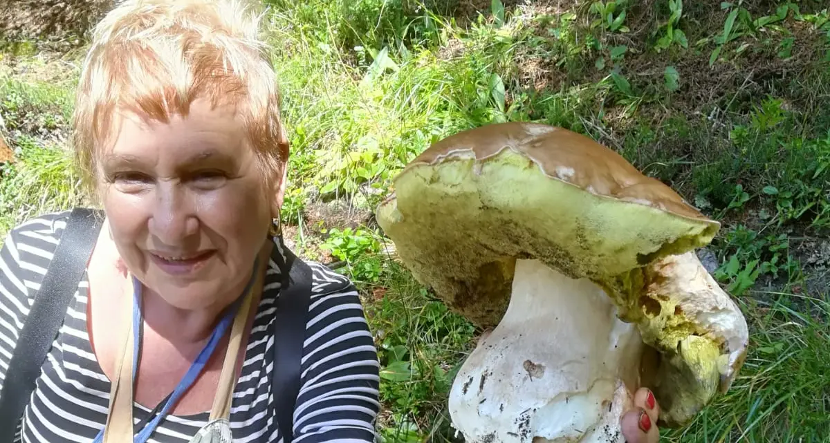Periodo fortunato per i fungaioli, ecco il porcino gigante trovato dalla signora Franca