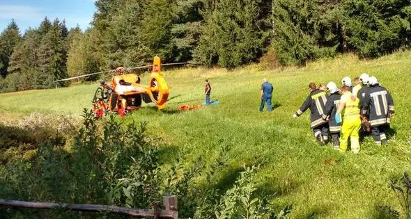 Aldino, motociclista travolto da un cervo impaurito
