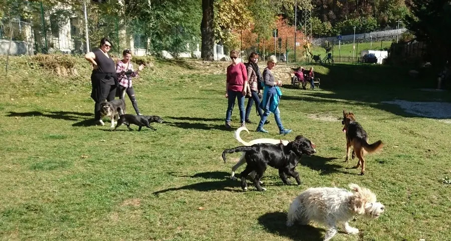 Le proteste dei residenti assottigliano l’area cani