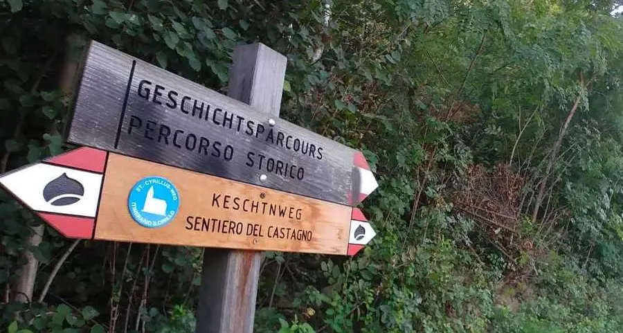 Uno scheletro umano riaffiora nel bosco