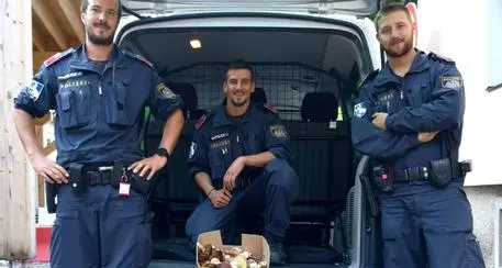 Brennero, la polizia sequestra 63 chili di porcini