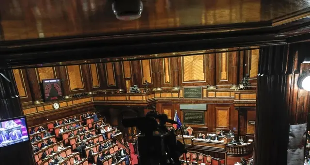Ddl seggiolini: Da senato ok unanime