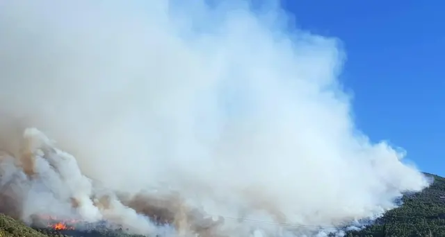 Incendi nel Pisano, fiamme ancora alte
