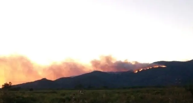 Riprende incendio nel pisano,fiamme alte