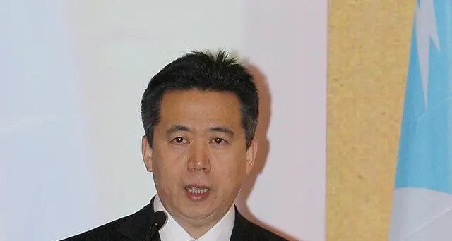 Interpol, Cina ci dia risposte su Meng