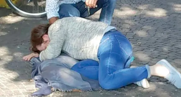 Pitbull libero uccide un cagnolino sotto gli occhi della padrona