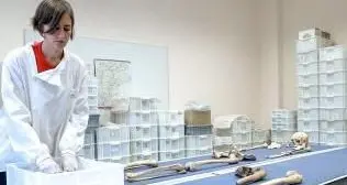 La ricerca: più casi di scorbuto nel cimitero di Castel Tirolo