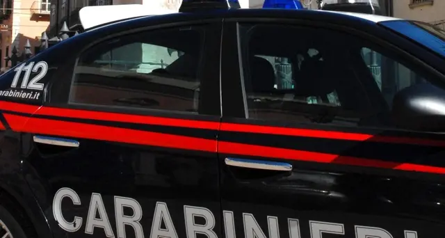 Bimbo 6 anni muore travolto da armadio