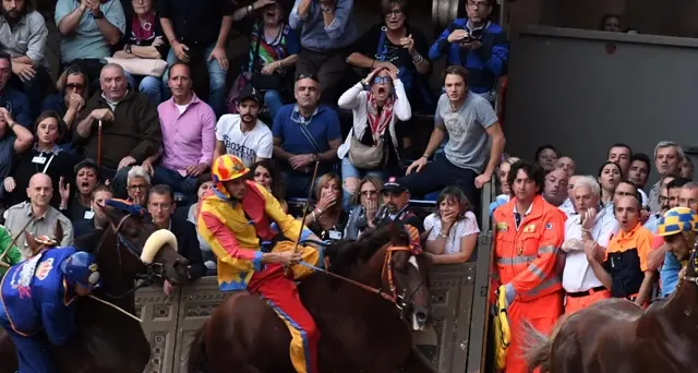 Cavallo morto al Palio di Siena: denunce e polemiche