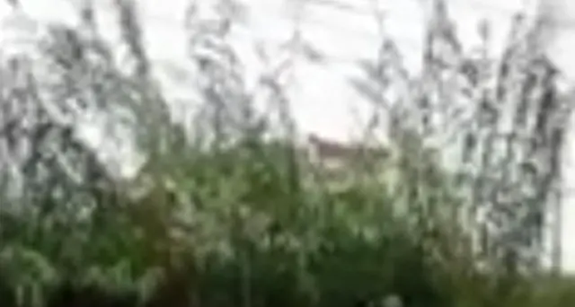 Si tuffa nel sottopasso e salva donna