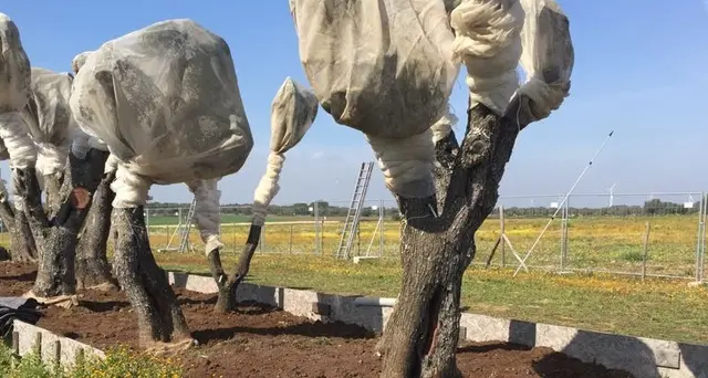 Tap,resta sequestro di porzione cantiere