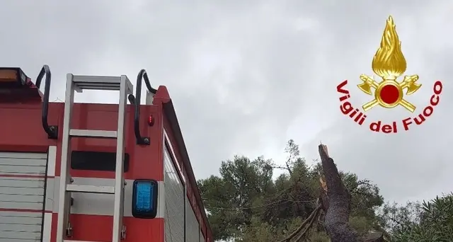 Bomba d'acqua su Follonica