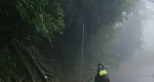 Maltempo, albero uccide vigile del fuoco
