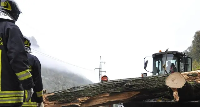 Albero su auto in VdA,vittime 2 torinesi