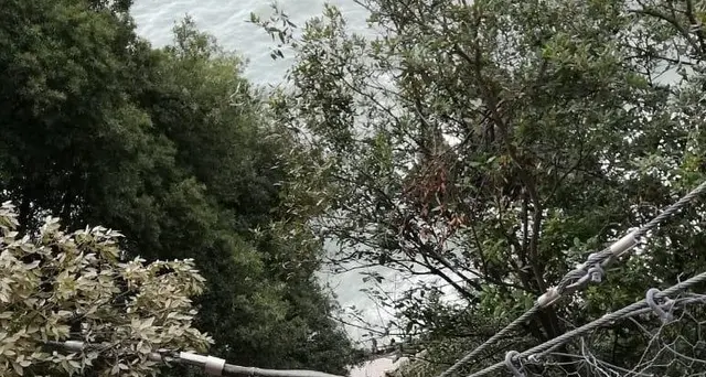 Frana minaccia passeggiata a Monterosso