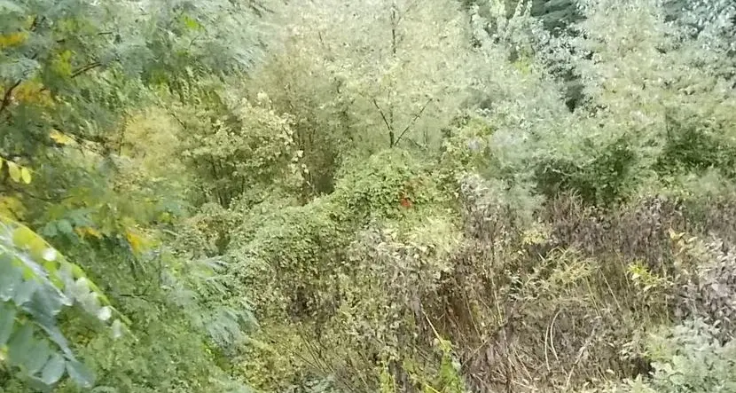 Vallarsa e Lusina sotto la lente di ingrandimento