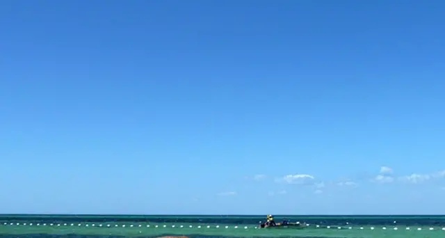 N.Zelanda: salvato in mare bimbo 18 mesi
