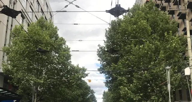 Melbourne, l'Isis rivendica l'attacco
