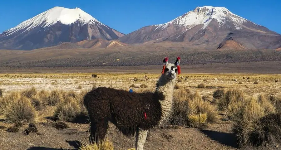 Caldaro, reportage sulle Ande boliviane