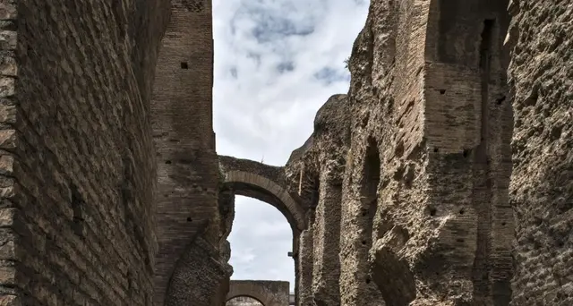 Al Colosseo i Severi, dinastia d'Africa