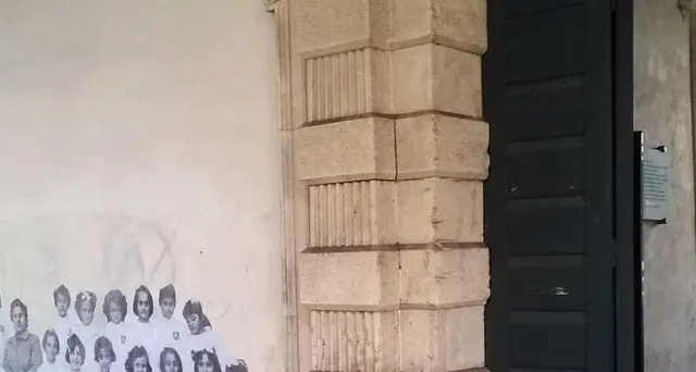 Occupata Scienze politiche a Padova
