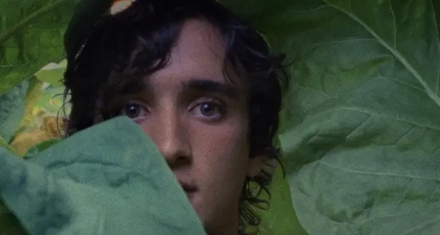 'Lazzaro Felice' a Independent Spirit