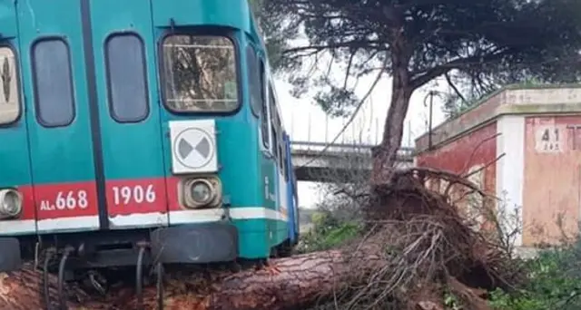Maltempo,in Salento treno investe tronco