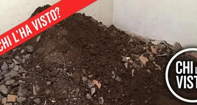 Pm, ossa non sono di Orlandi e Gregori