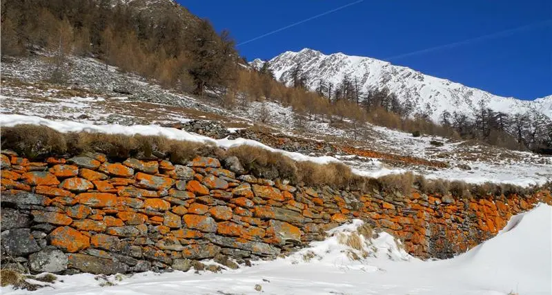 Cura del paesaggio, nel 2018 investiti circa 1,5 milioni di euro