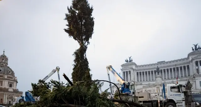Spelacchio a Roma, rotto qualche ramo
