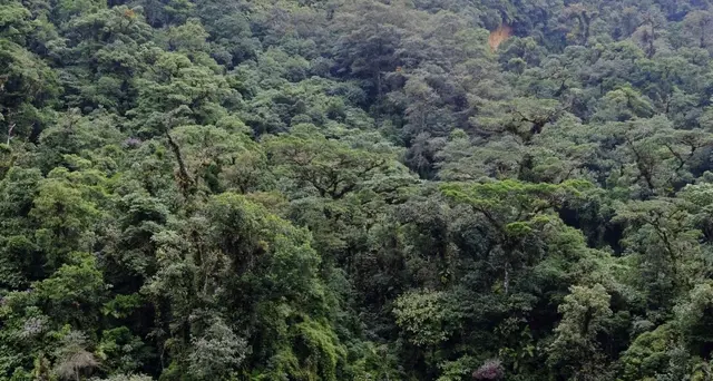Italiano rapinato e ucciso in Costa Rica