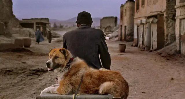 Gli Animals di McCurry al Mudec Photo