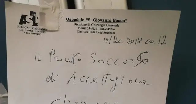 Napoli, pronto soccorso chiuso per formiche