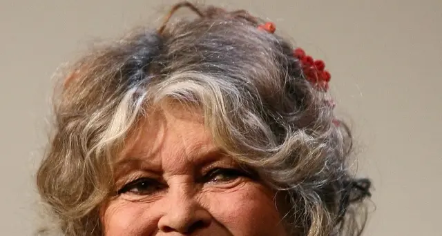 Bardot a Macron, 'miracolo' per animali