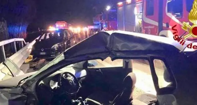 Cinghiali su A1, pm Lodi apre inchiesta