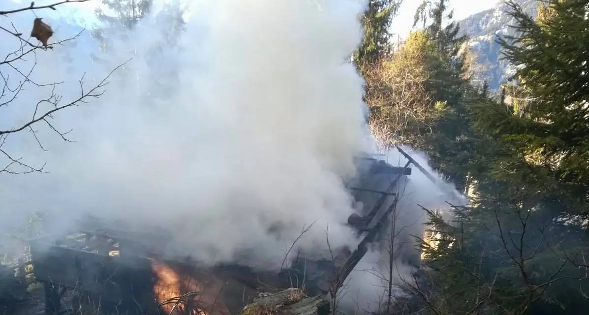 Incendio nei boschi di Lagundo, diverse squadre di vigili del fuoco sul posto