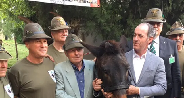 40 anni di Iroso, l'ultimo mulo 'alpino'