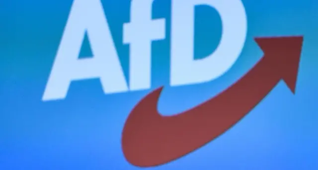 Congresso Afd non esclude opzione Dexit
