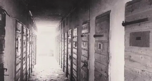 Giorno della memoria, tante le iniziative a Bolzano
