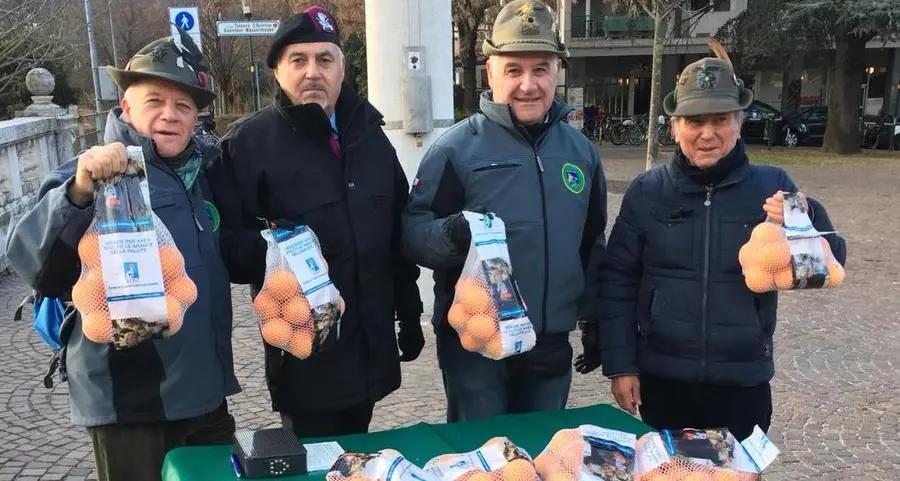 Arance della salute con le penne nere