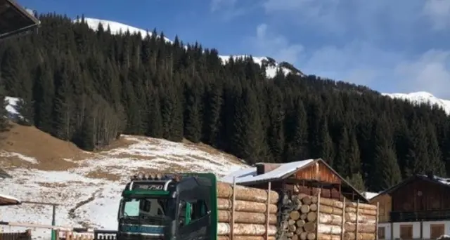 Boschi abbattuti,già venduti primi lotti