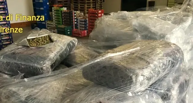 650 kg Coca sequestrati in porto Livorno
