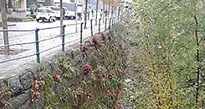 Lavori alla vegetazione nel Passirio