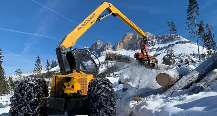 La neve frena il lavoro nei boschi martoriati